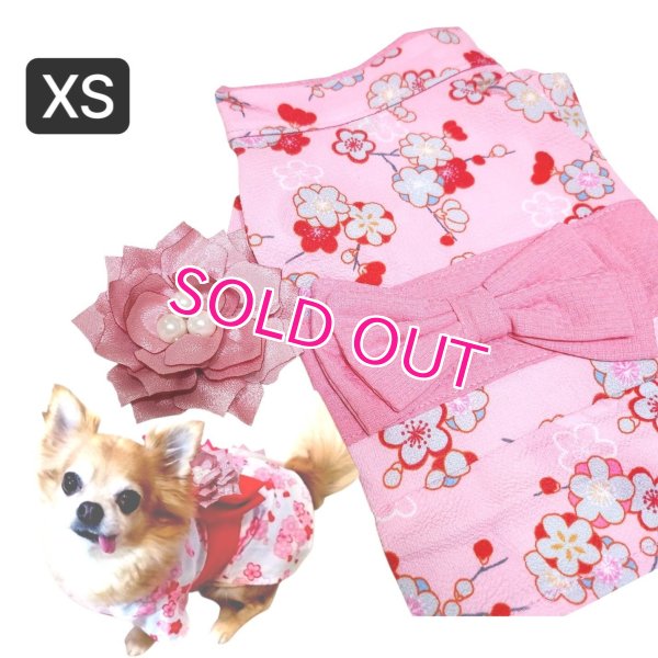 画像9: 在庫限り【XS】【犬 服】【Sale】【帯飾り付】可愛い梅の花ゆかた【Petstyle】浴衣　和装　着物【メール便OK】