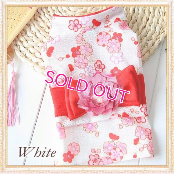 画像6: 在庫限り【XS】【犬 服】【Sale】【帯飾り付】可愛い梅の花ゆかた【Petstyle】浴衣　和装　着物【メール便OK】