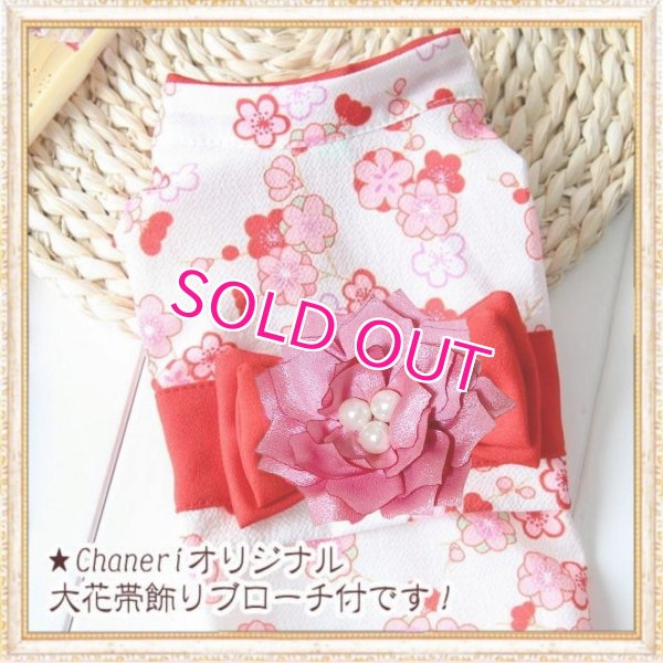 画像18: 在庫限り【XS】【犬 服】【Sale】【帯飾り付】可愛い梅の花ゆかた【Petstyle】浴衣　和装　着物【メール便OK】