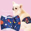 画像1: 特売【在庫限り】【500円】【紺 ネイビー】宇宙柄 マナーベルト【メール便OK】犬用 愛犬ベルト カフェ