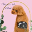 画像2: 特売【在庫限り】【500円】【黒 ブラック】宇宙柄 マナーベルト【メール便OK】犬用 愛犬ベルト カフェ
