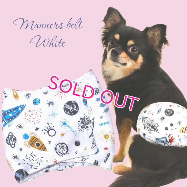 画像1: 特売【在庫限り】【500円】【白 ホワイト】宇宙柄 マナーベルト【メール便OK】犬用 愛犬ベルト カフェ