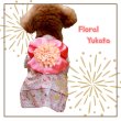 画像7: 【犬 服】【Sale】【値下げ】【帯飾り付】オシャレゆかた【Cute dog】【メール便OK】ピンク XS