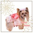 画像6: 【犬 服】【Sale】【値下げ】【帯飾り付】オシャレゆかた【Cute dog】【メール便OK】ピンク XS