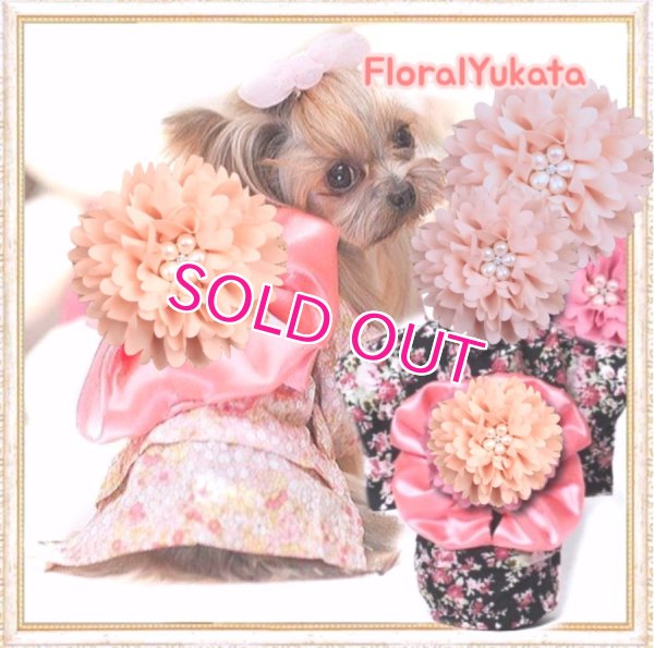 画像12: 【犬 服】【Sale】【1220円】【帯飾り付】オシャレゆかた【Cute dog】【メール便OK】ブラック M