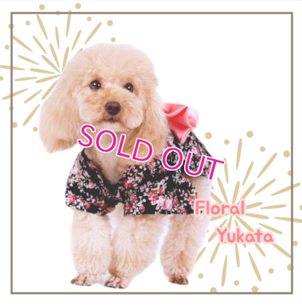 画像10: 【犬 服】【Sale】【1220円】【帯飾り付】オシャレゆかた【Cute dog】【メール便OK】ブラック M
