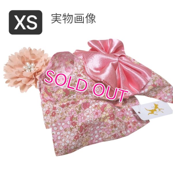 画像9: 【犬 服】【Sale】【値下げ】【帯飾り付】オシャレゆかた【Cute dog】【メール便OK】ピンク XS