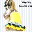 画像1: 【セール】【半額】【犬 服】【メール便OK】キラキラスターのキャミワンピ【Pappyzznag】