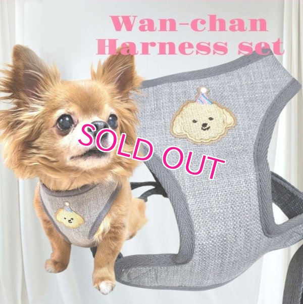 画像2: 犬用 犬 刺繍 ワッペン ハーネス リード セット 胴輪 胴輪セット 可愛いハーネス 小型犬 散歩 旅行 軽量 簡単装着 グレー