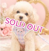 画像: 【メール便無料】愛犬用 犬服 ペット用 ハーネス SET 犬用 犬 可愛い ベア チェック柄 くま ハーネスセット 胴輪セット 可愛いハーネス 小型犬 散歩 旅行 軽量 簡単装着 淡ピンク