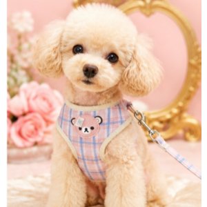 画像: 【メール便無料】愛犬用 犬服 ペット用 ハーネス SET 犬用 犬 可愛い ベア チェック柄 くま ハーネスセット 胴輪セット 可愛いハーネス 小型犬 散歩 旅行 軽量 簡単装着 淡ピンク