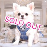 画像: 【メール便無料】愛犬用 犬服 ペット用 ハーネス SET 犬用 犬 可愛い ベア チェック柄 くま ハーネスセット 胴輪セット 可愛いハーネス 小型犬 散歩 旅行 軽量 簡単装着 ネイビー 紺