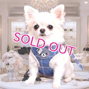 画像: 【メール便無料】愛犬用 犬服 ペット用 ハーネス SET 犬用 犬 可愛い ベア チェック柄 くま ハーネスセット 胴輪セット 可愛いハーネス 小型犬 散歩 旅行 軽量 簡単装着 ネイビー 紺