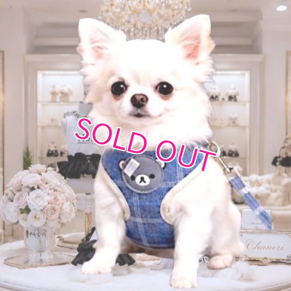 画像1: 【メール便無料】愛犬用 犬服 ペット用 ハーネス SET 犬用 犬 可愛い ベア チェック柄 くま ハーネスセット 胴輪セット 可愛いハーネス 小型犬 散歩 旅行 軽量 簡単装着 ネイビー 紺