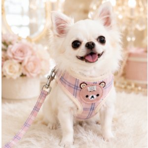 画像: 【メール便無料】愛犬用 犬服 ペット用 ハーネス SET 犬用 犬 可愛い ベア チェック柄 くま ハーネスセット 胴輪セット 可愛いハーネス 小型犬 散歩 旅行 軽量 簡単装着 ピンク