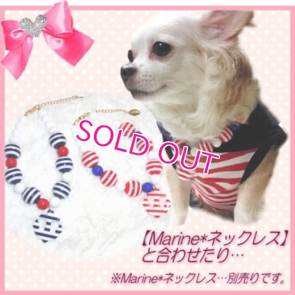 画像5: 【再入荷】【半額】犬 服/愛犬[メール便OK]セール/セーラーオールインワン（つなぎ）　Puppyzzang-アウトレット