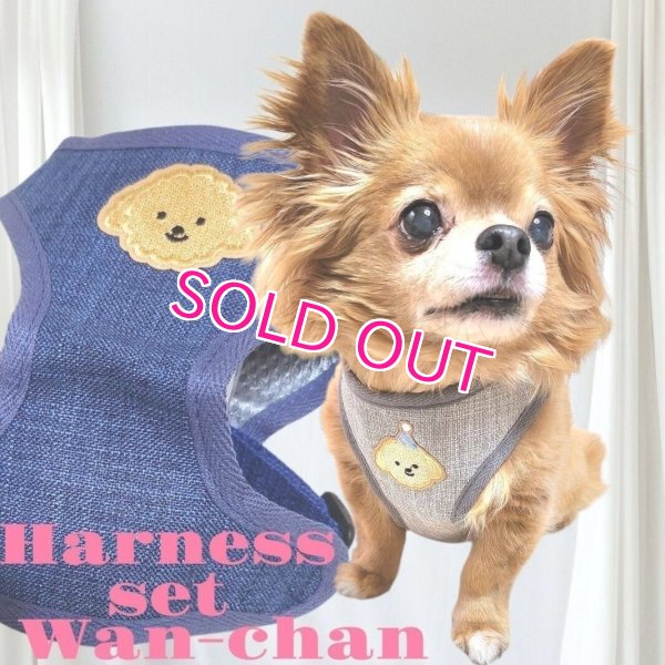 画像13: 犬用 犬 刺繍 ワッペン ハーネス リード セット 胴輪 胴輪セット 可愛いハーネス 小型犬 散歩 旅行 軽量 簡単装着 グレー