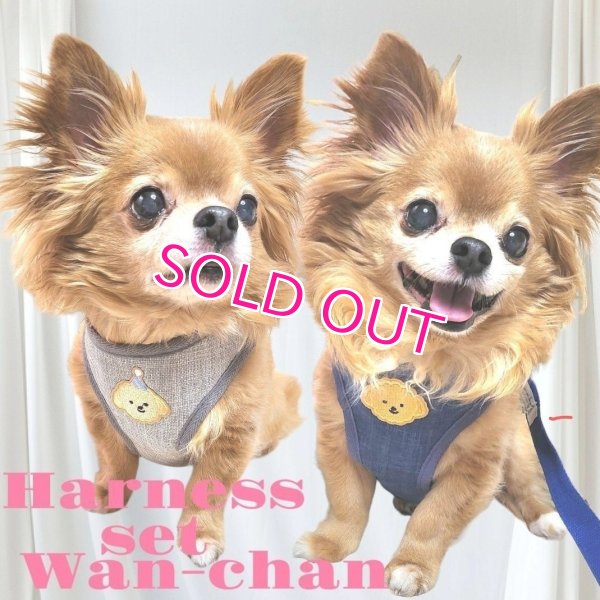 画像12: 犬用 犬 刺繍 ワッペン ハーネス リード セット 胴輪 胴輪セット 可愛いハーネス 小型犬 散歩 旅行 軽量 簡単装着 グレー