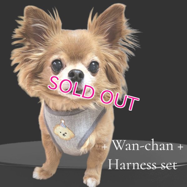 画像5: 犬用 犬 刺繍 ワッペン ハーネス リード セット 胴輪 胴輪セット 可愛いハーネス 小型犬 散歩 旅行 軽量 簡単装着 グレー