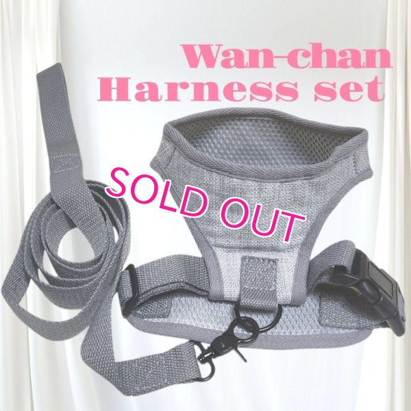 画像4: 犬用 犬 刺繍 ワッペン ハーネス リード セット 胴輪 胴輪セット 可愛いハーネス 小型犬 散歩 旅行 軽量 簡単装着 グレー