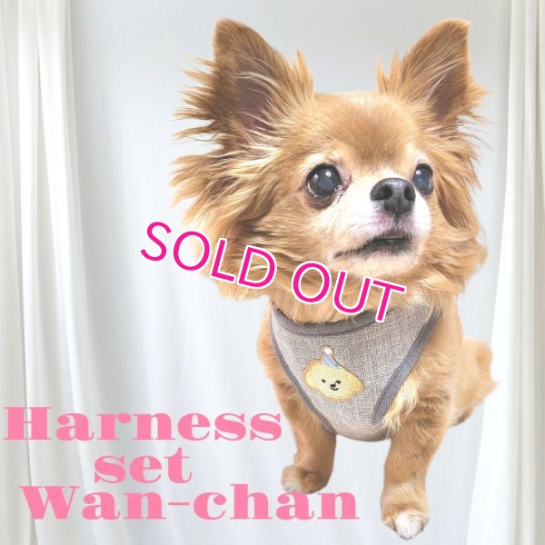 画像7: 犬用 犬 刺繍 ワッペン ハーネス リード セット 胴輪 胴輪セット 可愛いハーネス 小型犬 散歩 旅行 軽量 簡単装着 グレー