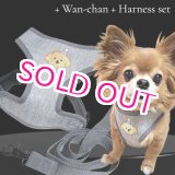 画像: 犬用 犬 刺繍 ワッペン ハーネス リード セット 胴輪 胴輪セット 可愛いハーネス 小型犬 散歩 旅行 軽量 簡単装着 グレー
