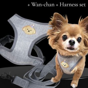 画像: 犬用 犬 刺繍 ワッペン ハーネス リード セット 胴輪 胴輪セット 可愛いハーネス 小型犬 散歩 旅行 軽量 簡単装着 グレー