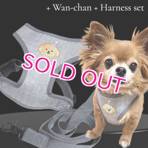 画像: 犬用 犬 刺繍 ワッペン ハーネス リード セット 胴輪 胴輪セット 可愛いハーネス 小型犬 散歩 旅行 軽量 簡単装着 グレー
