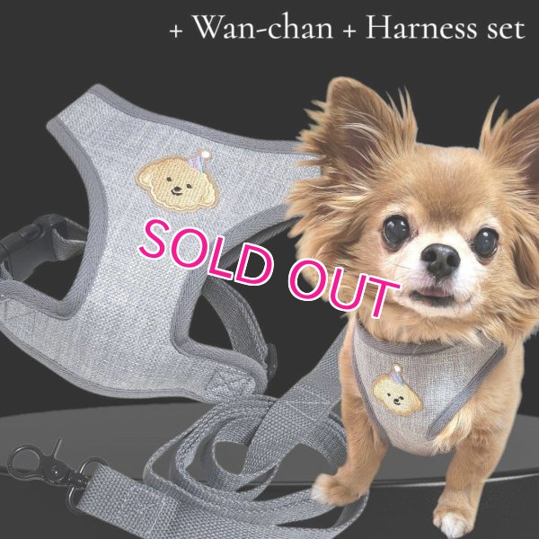 画像1: 犬用 犬 刺繍 ワッペン ハーネス リード セット 胴輪 胴輪セット 可愛いハーネス 小型犬 散歩 旅行 軽量 簡単装着 グレー