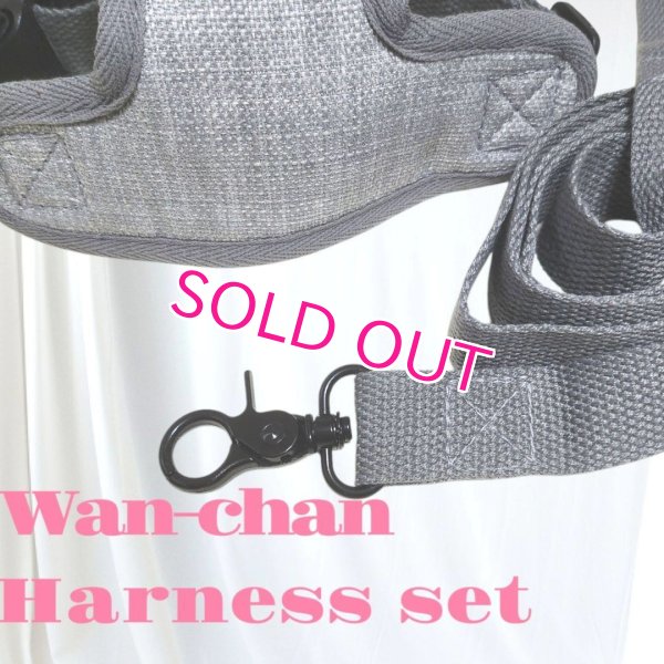 画像9: 犬用 犬 刺繍 ワッペン ハーネス リード セット 胴輪 胴輪セット 可愛いハーネス 小型犬 散歩 旅行 軽量 簡単装着 グレー