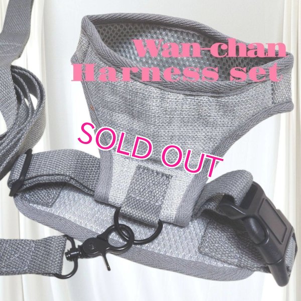 画像10: 犬用 犬 刺繍 ワッペン ハーネス リード セット 胴輪 胴輪セット 可愛いハーネス 小型犬 散歩 旅行 軽量 簡単装着 グレー