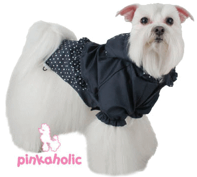 画像: 【期間限定セール】【メール便無料】愛犬服/ピンカ・レインコート・ネイビー【PINKAHOLIC】xmas