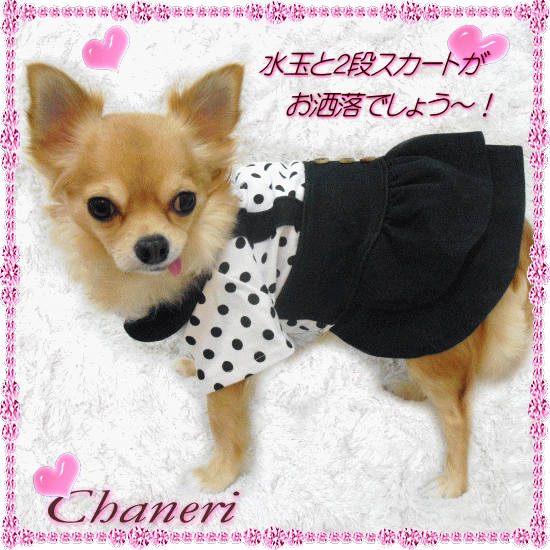 画像: 新作/愛犬服/*水玉のハイウエストワンピース*【Puppyzzang】メール便OK【セッ ト割引対象商品】2480