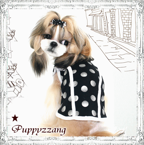 画像: ★メール便無料【ポイント10倍+ハンガー】愛犬用/新作/夏/シルバースターパフTEE Puppyzzang