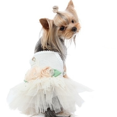 画像5: PUPPYANGEL/新作Swan Tutu Dress/PA-DR120【 送料無料】