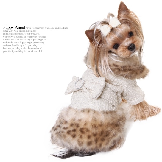 画像: 犬服【再入荷】【送料無料】Marple Millionaire Coat【PUPPYANGEL★パピーエンジェル】PA-OW209