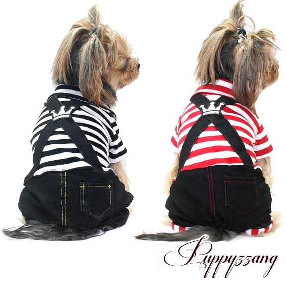 画像3: 【再入荷】【25％OFF】【2230円】【セール】【犬 服】【メール便OK】ボーダープリンスオールインワン【Puppyzzang】