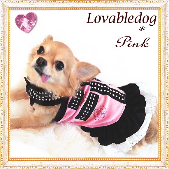 画像3: 【再々入荷】【犬 服】【2480円】カメリア＆クラウンストーンのクールキュートなワンピース【LOVABLEDOG】