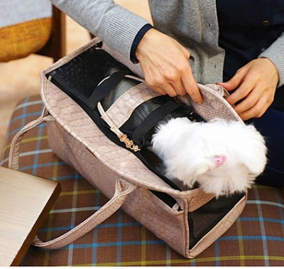 画像: 【送料無料】Parisdog　クロコ型押し風キャリーバッグ【Mannish Pet Bag】【Mサイズ】