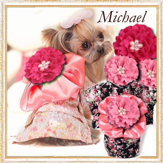 画像1: 【犬 服】【Sale】【1680円】【帯飾り付】オシャレゆかた【Michael】【Cute dog】【メール便OK】