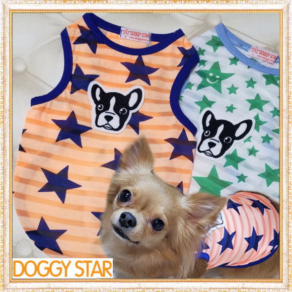 画像1: 【犬 服】【Sale】【1580円】スター＆Dogのタンクトップ【Doggy Star】【メール便OK】