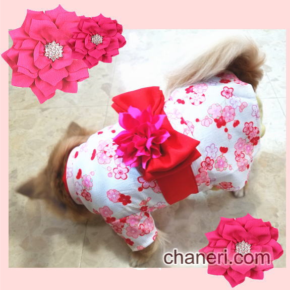 画像: 【犬 服】【Sale】【帯飾り付】可愛い梅の花ゆかた【Petstyle】浴衣　和装　着物【メール便OK】