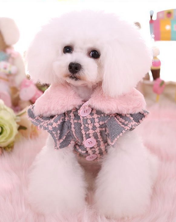画像: 犬 服 犬の服 Sale ドッグウェア ワンピース ドレス  秋冬のチェックとリボンのコートDress【メール便可】