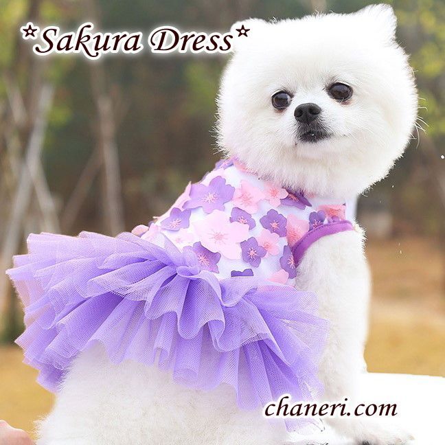 画像:  【犬 服】【sale】【春夏】Sakuraモチーフチュチュフリルのワンピース【メール便OK】