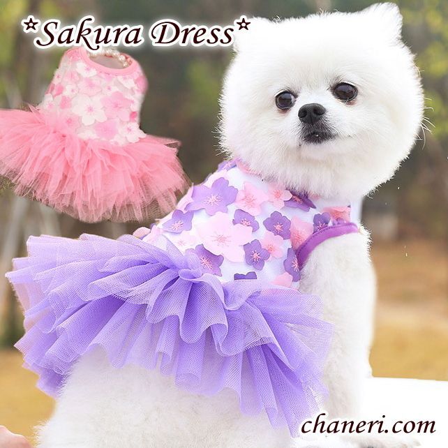 画像1:  【犬 服】【sale】【春夏】Sakuraモチーフチュチュフリルのワンピース【メール便OK】