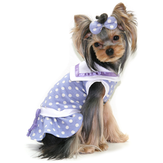 画像: 【在庫処分Sale】愛犬服/セーラーカラーの水玉ワンピース（Puppyzzang）メール便OK