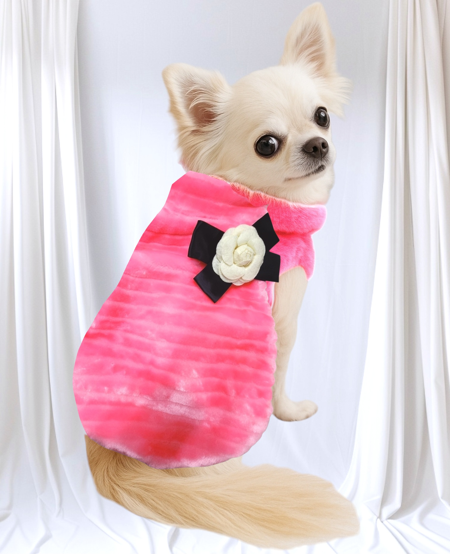 画像5: 【sale】【新色】【犬 服】【カメリアリボン付】PETCOふわふわコート【メール便OK】