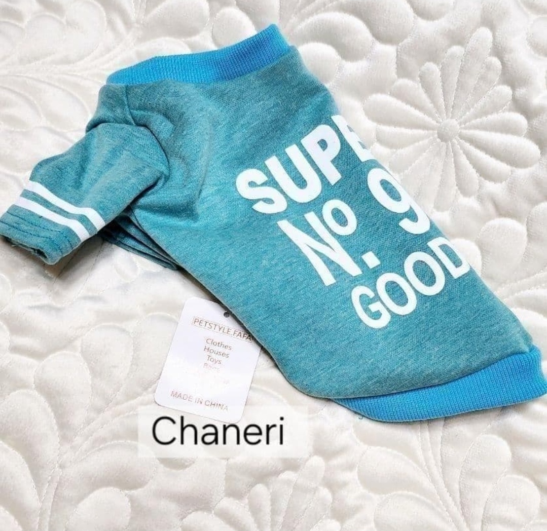 画像5: 【メール便無料】愛犬服 英字ロゴ 長袖 Tシャツ トレーナー 裏起毛 暖かい犬服 犬の冬服 プードル チワワ カッコカワイイ :ターコイズブルー