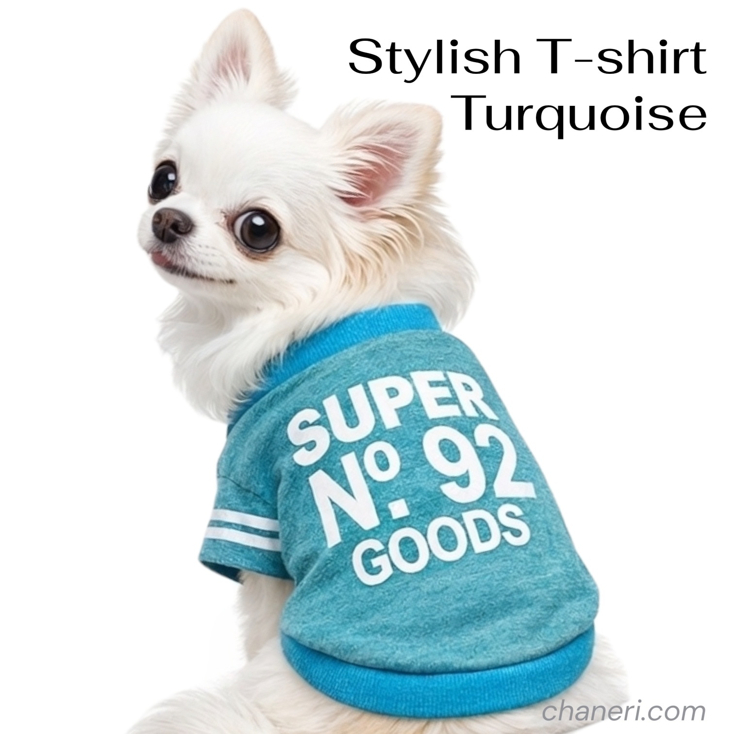 画像2: 【メール便無料】愛犬服 英字ロゴ 長袖 Tシャツ トレーナー 裏起毛 暖かい犬服 犬の冬服 プードル チワワ カッコカワイイ :ターコイズブルー