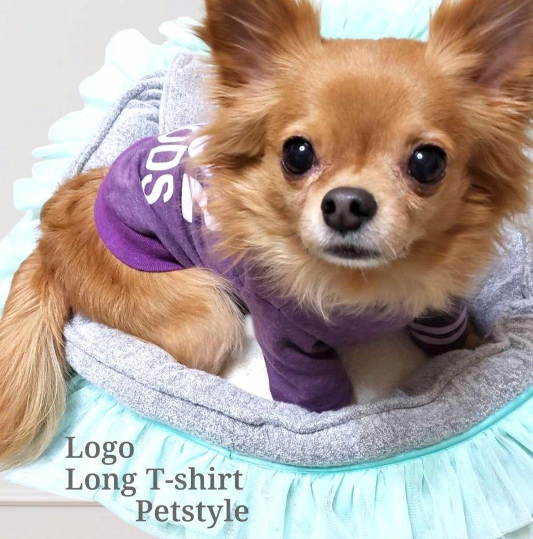 画像8: 【メール便無料】愛犬服 英字ロゴ 長袖 Tシャツ トレーナー 裏起毛 暖かい犬服 犬の冬服 プードル チワワ カッコカワイイ :パープル